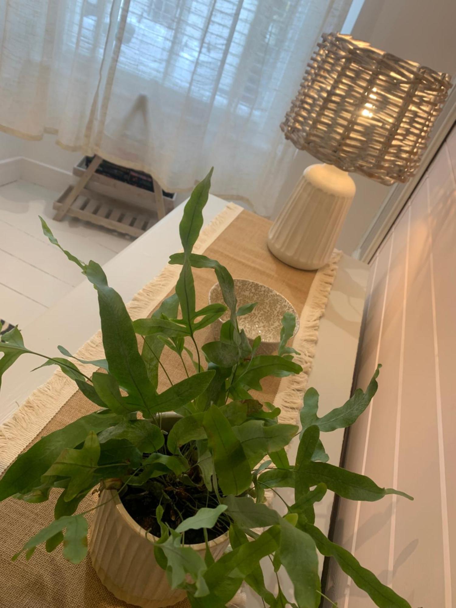 The Seawitch - Harbourside Apartment ماوسهول المظهر الخارجي الصورة